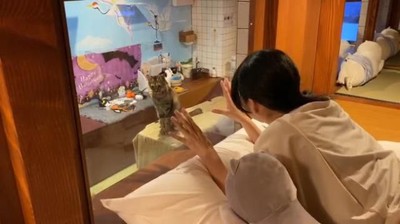 Foto: Gemesin! Nginap Bareng Kucing di Hotel Kapsul