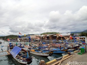 Nelayan Sukabumi Dukung Ekspor Benih Lobster, Tapi Ada Syaratnya