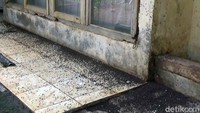 Lembing hitam ini terdapat di seluruh sudut rumah mulai dari halaman depan, ruangan dalam, halaman belakang hingga atap rumah.