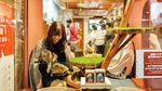 Foto: Gemesin! Nginap Bareng Kucing di Hotel Kapsul