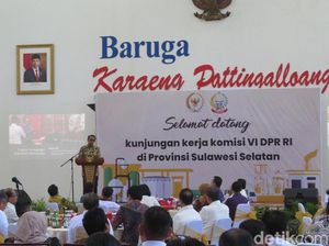 Terima Komisi VI DPR, Gubernur Sulsel Minta Penerangan Listrik di Pulau