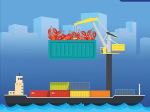 Ekspor Benih Lobster Diminta Setop Total, Bukan Cuma Evaluasi