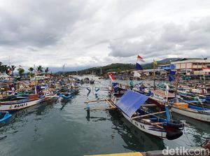 Nelayan Izinkan Ekspor Benih Lobster, Asalkan...