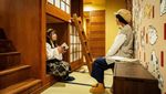 Foto: Gemesin! Nginap Bareng Kucing di Hotel Kapsul