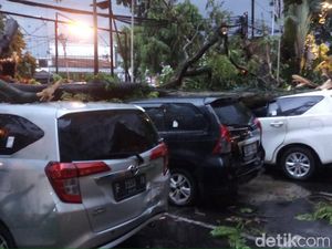 Hujan Angin, Pohon Tumbang Timpa Tiga Mobil di Bandung