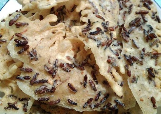 Kawanan Laron Datang! Ini 5 Fakta Menarik Laron yang Jadi Makanan Lezat