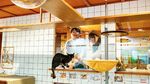 Foto: Gemesin! Nginap Bareng Kucing di Hotel Kapsul