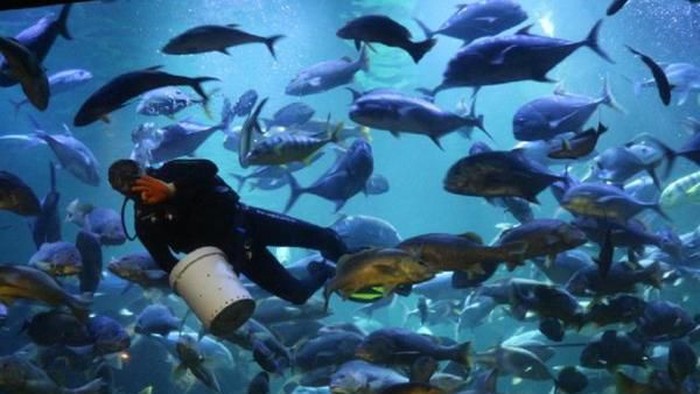 Sea World