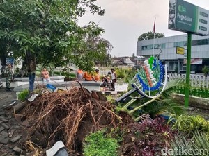 Hujan Disertai Angin Kencang Tumbangkan Sejumlah Pohon di Malang