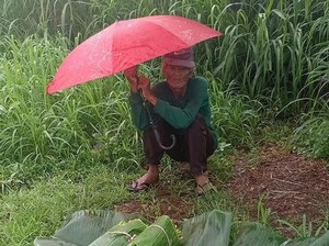 Hujan Deras, 5 Orang Ini Tetap Semangat Jualan dan Antar Makanan Demi Nafkah
