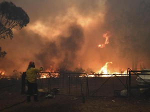 Wilayah Paling Padat Penduduk di Australia Umumkan Darurat Kebakaran Hutan