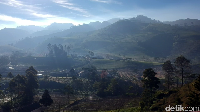 Kawasan agrowisata ini milik PTPN IX. Jaraknya 20 kilometer sebelah timur kota Bumiayu, atau 15 km dari pertigaan Kaligua (dekat Flyover Kretek). (Imam Suripto/detikcom)