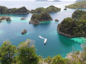 Kapal Pesiar Asing Kandas di Terumbu Karang Raja Ampat