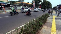 Selain dilengkapi dengan sejumlah fasilitas penunjang bagi para pejalan kaki, trotoar di kawasan Kemang ini juga nampak dihias dengan tanaman di salah satu sisinya.