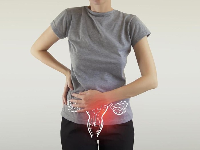 ilustrasi rahim Ovulation, Cervical Cancer, Infographic, Vagina