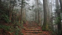 Kumano masih dikelilingi hutan yang asri.  (iStock)