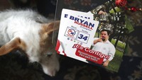 Russell disebut sebagai penyandang down syndrome pertama yang mencalonkan diri menjadi anggota parlemen di Peru.