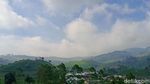 Foto: Kebun Teh Cantik buat Liburan Akhir Tahun di Brebes
