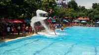 Namun demikian, untuk dapat melakukan atraksi didalam kolam yang tidak biasanya ini, pihaknya harus lebih sangat hati hati. Selain itu banyak perhitungan khusus agar tidak terjadi hal yang tidak diinginkan saat tampil di dalam kolam (Arbi Anugrah/detikcom)