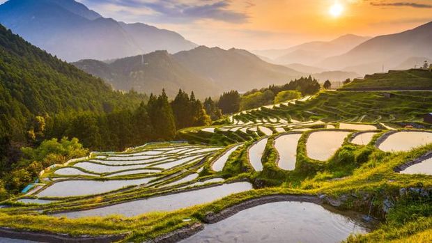 Bukan Tokyo, Ini Destinasi Terbaik di Jepang untuk 2020