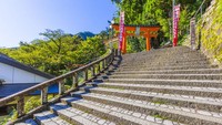 Kumono memiliki jalur peziarah yang disebut Kumano Kodo. Jalur ini merupakan salah satu dari dua jalur yang dinobatkan sebagai Situs Warisan Dunia UNESCO.  (iStock)