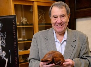 Fosil Homo Erectus Terakhir Ditemukan di Jateng, Umurnya Ratusan Ribu Tahun
