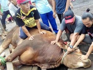 Mengenal Marbinda, Tradisi Unik Natal Suku Batak di Sumatra Utara