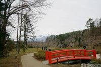 Gunung Fuji yang terlihat jelas dari Desa Ninja (Syanti/detikcom) 