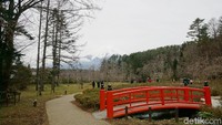 Satu lagi yang eksotis di Desa Ninja, kamu bisa menikmati Gunung Fuji di sini. Sangat cantik! (Syanti/detikcom)