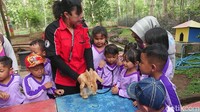 Ada juga taman kelinci. Di taman ini, anak-anak bisa memberi makan atau mencoba memeriksa detak jantung kelinci menggunakan stetoskop. Wisata Kampung Susu rata-rata dikunjungi 500-1.000 pengunjung per hari. (Adhar Muttaqin/detikcom)