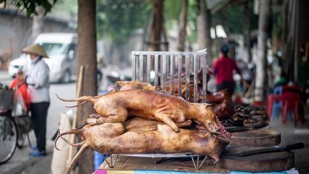 Hiii... Kebab di Vietnam Ini Dibuat dari Potongan Daging Anjing
