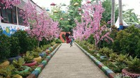 Memasuki kawasan wisata Kampung Susu, pengunjung akan disambut oleh spot selfie berupa aneka bunga sakura buatan. Kampung Susu ini berada di Desa Sidem, Kecamatan Gondang, Tulungagung. (Adhar Muttaqin/detikcom)