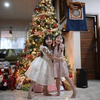 Intip Hiasan Pohon Natal di Rumah 5 Artis Indonesia