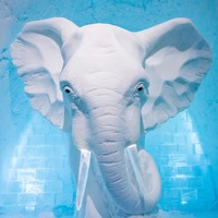 Untuk menginap di hotel unik ini, setidaknya kamu perlu mengeluarkan kocek sekitar Rp 3,2 juta untuk satu malamnya. Tertarik mencoba? Foto: Instagram @icehotelsweden