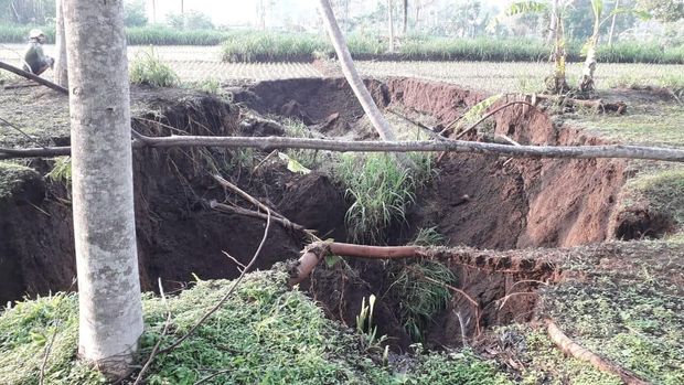 Fenomena Tanah Amblas Wonogiri, Diduga Ada Sungai di Bawahnya