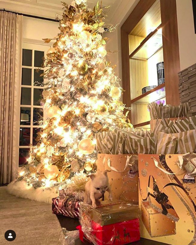 Sovia Vergara mengunggah ke Instagram foto pohon Natalnya yang sangat penuh dengan pernak-pernik Natal. Pohon Natal yang tampak menjulang tinggi itu dipasang di sudut ruangan dekat dengan jendela rumahnya. Tak lupa, berbagai macam kado juga terlihat di dekat pohon Natal tersebut. Dari semua foto pohon Natal milik seleb Hollywood ini, mana yang jadi favoritmu? Foto: Instagram
