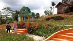 Foto: Kebun Bunga Amarilis Gunungkidul yang Tetap Menarik