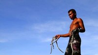 Pulau Ular atau Nusa Nipa berada di Dusun Pai, Kecamatan Wera, Bima, Nusa Tenggara Barat. Sesuai dengan namanya, pulau ini hanya dihuni oleh ratusan ular -- ada pula yang menduga sampai ribuan ular. (Yudi Febrianda/dTraveler)