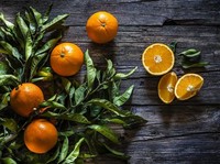 5 Jenis Buah Citrus yang Sehat dengan Rasa Asam Segar