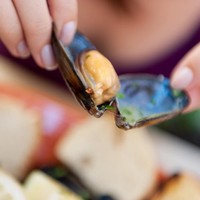 6 Seafood yang Bisa Tingkatkan Performa Seks Pria Jika Rutin Dikonsumsi