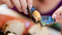 6 Seafood yang Bisa Tingkatkan Performa Seks Pria Jika Rutin Dikonsumsi