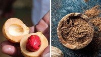 Bagaimana dengan pala? Rempah bubuk ini didapat dari buah besar serupa peach. Yang diambil adalah tulang-tulang dari buah tersebut yang pecah saat matang. Tulang-tulang itu kemudian dikumpulkan, dikeringkan, dan dihancurkan. Foto: Brightside