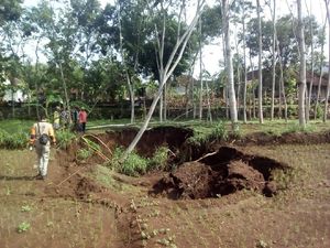 Fenomena Tanah Amblas Wonogiri, Diduga Ada Sungai di Bawahnya