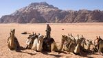 Potret Gurun Pasir yang Katanya Mirip Planet Mars
