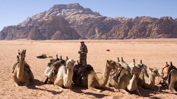Unta-unta bersama sang pawang. Wisatawan yang mau naik unta bisa menjelajahi gurun pasir yang indah ini (iStock)