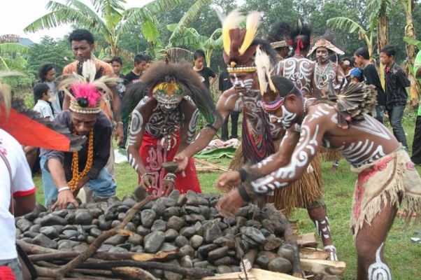 bakar batu bakar batu