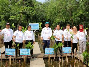 Tanam Mangrove untuk Cegah Abrasi