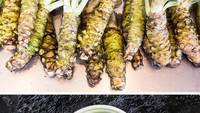 Wasabi adalah condiment sushi populer dengan rasa pedas menyengat. Wasabi termasuk golongan lobak yang akarnya diparut. Wasabi juga sering disebut lobak pedas Jepang. Foto: Brightside