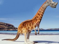 Editan Photoshop Unik Tapi Bikin Ngakak