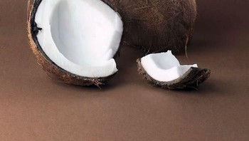 Kelapa beruang. Foto: Bored Panda